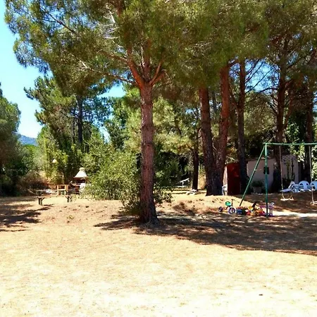Cigale 1_allocigale Apartment Argeles-sur-Mer